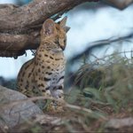 [NCT] ㅅㄷ)얘 말이야