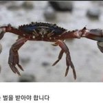 판이 진짜 썩은 커<b>뮤</b>라고 <b>생각</b>하는 게