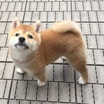 [댓글부탁해] 추반좀해주라 <b>학원</b>