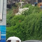 나 인스타에 n번방 <b>청원</b> 예전에 올렸는데