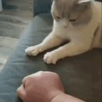 [댓글부탁해] Dont be afraid to <b>start</b> over