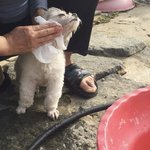 나 mbti <b>entp</b>나왔는데