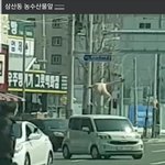 니네 이거 봤냐 ㅋ ㅋ남자 발가벗고