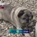 [드루와] 너네 얘없으면 죽겠다<b>or</b>얘때문에 산다한 남친있었냐