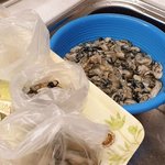 [내가한요리] 퇴사러의 소소한 밥상 공유해요~