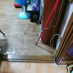 [<b>사진주</b>의] 바퀴벌레샊 어떡하냐