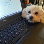 <b>재택</b> 근무 셋팅 끝난 사람들