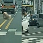 나체로 모르는 여성 차에 올라탄 ‘<b>울산</b> 터미네이터’ 입건