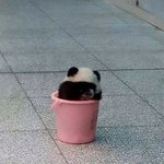 나 인스타도 안하고 페북도 안함..ㅋㅋㅋ