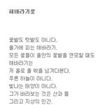 <b>해바라기</b>