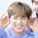[NCT] 콘서트나 음방 가본 즈니 있니
