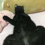 앵클<b>부츠</b> 신는데 앞굽이 없어서 너무 아픔