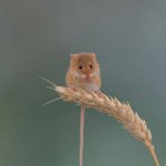 [댓글부탁해] 남친한테 차였는데 상메 ㅇㄸ 추반