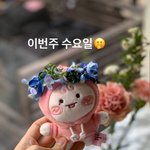 [강다니엘] 소슬지 아나운서 인별스토리