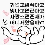 얘들아 나 오늘 십대 마지막 생일인데 한 번만 축하한다고 해<b>주랑</b>