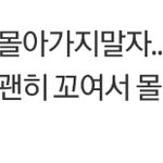 [댓글부탁해] <b>N</b>번방 진짜 선 넘었다