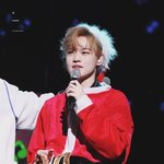 [NCT] 나 고 가사중에