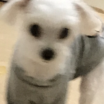 이 사진 <b>오때</b>?