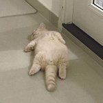 [드루와] 하 개빡친다 눈 <b>정화</b> 짤 보고 가