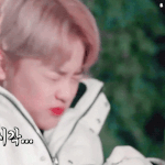 [NCT] 신입 시즈닌데.. 응원봉 궁금한거 있엉