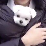 [드루와] 엔플라잉 스탠바이미 들어<b>주</b><b>셈</b>