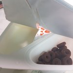 기분안조았는데 <b>비요</b>뜨 보고 더 빡침