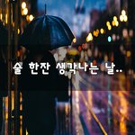 [이것좀봐줘] 술 한잔 생각나는 날..