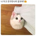 추반해봐 ㄱㄱ