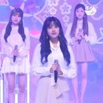 안유진이 소속사랑 노선 이상하게터서 그러지