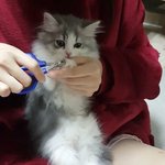 [댓글부탁해] 조금 잘생긴 애들 <b>모솔</b>일 <b>확률</b> 높아?