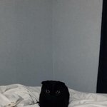 [댓글부탁해] <b>앞벅지</b> 살 효과좋은 운동 없냐