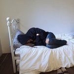 [EXO] 침대 위 <b>쭈구리</b>된 차뇨ㅋㅋ