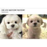 니네 평소에 패션 스타일 어떰