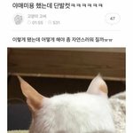 다들 어디 <b>사냐</b> 추반 ㄱㄱ