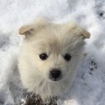 부분별 <b>신체</b>스트레스말해봐