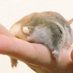 몇년만에 몸<b>무개</b> 47된듯