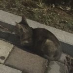 [댓글부탁해] 아니 나 선배한테 계속 연락오는데ㅜㅜ
