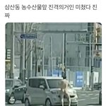 엥 이거 며칠전 일이라는데 니네 봤냐