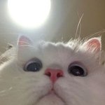너랑 <b>유미</b>랑