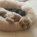 울 애기 자는 거 <b>바조</b> ㅎㅎ