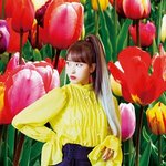 [댓글부탁해] 우리강아지들 개빡침