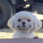 얘<b>두라</b> 레이어드 컷 조언좀 해줘ㅠㅠ