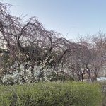 ㅈ같은 <b>꼬마</b>가 내 친구 가슴 만지고 튐 ㅅㅂ