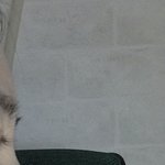 나 코 <b>옆태</b> 평가 좀 해주라