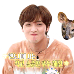 [NCT] 해차니 <b>호두</b>턱귀엽다ㅋ