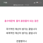 대박...꿈 이야기