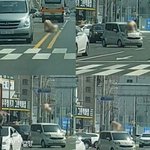 <b>SBS</b> 궁금한 이야기 Y에서 '울산 터미네이터' 관련 제보를 기다립니다...