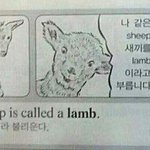 아니 <b>생리전</b>에 원래 살찜?