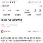 [알페스] 이거 뭔 <b>씨</b>피냐 대체