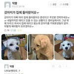 [댓글부탁해] 이거 진짜 개귀여워 ㅠㅠ